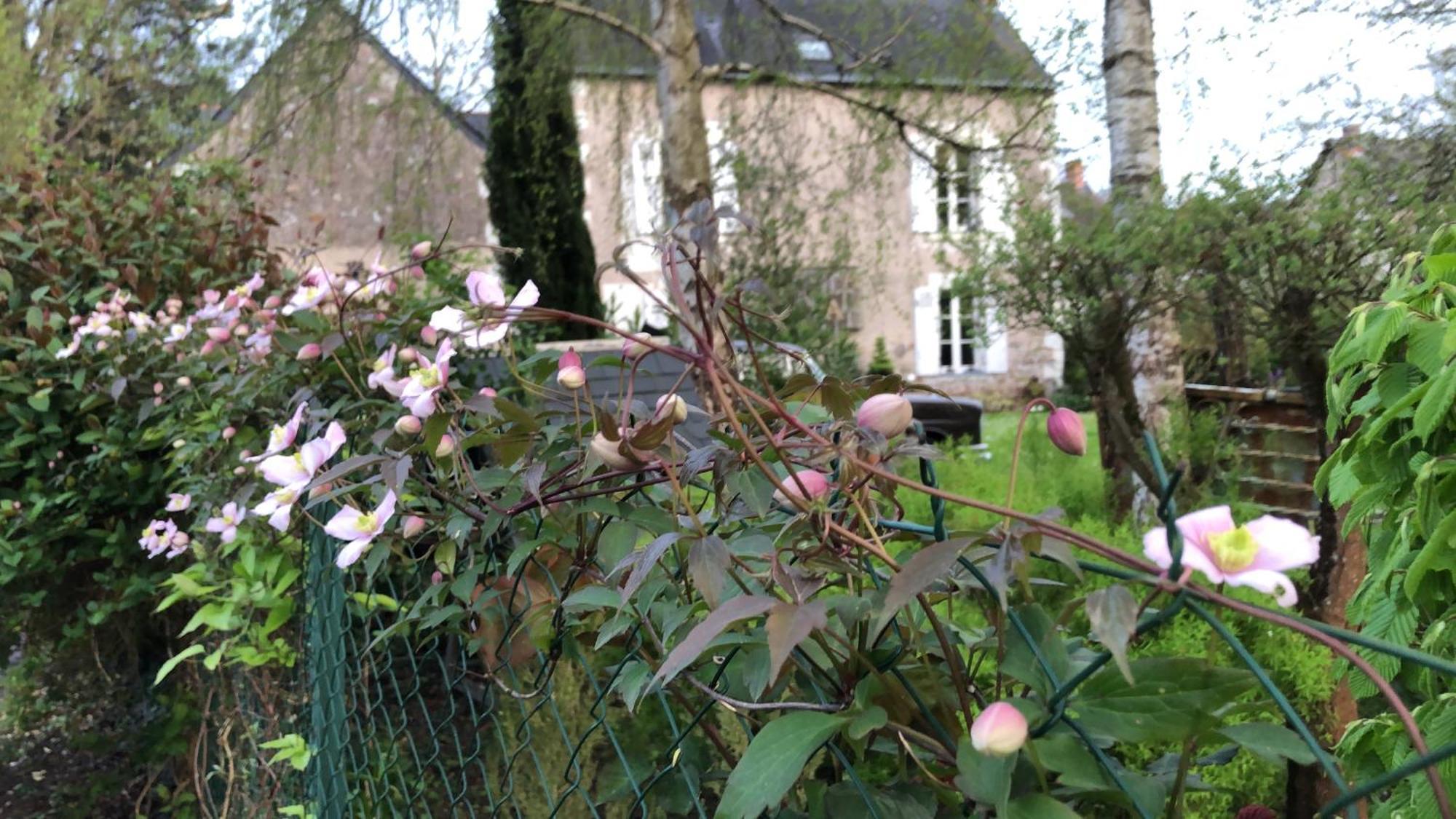 BlaisonLa Thibautiere住宿加早餐旅馆 外观 照片