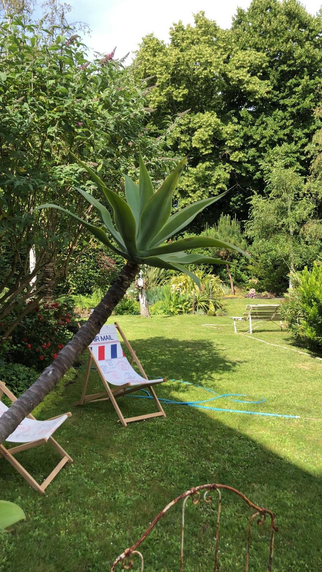 BlaisonLa Thibautiere住宿加早餐旅馆 外观 照片